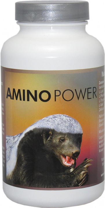 Amino Power by Robert Franz